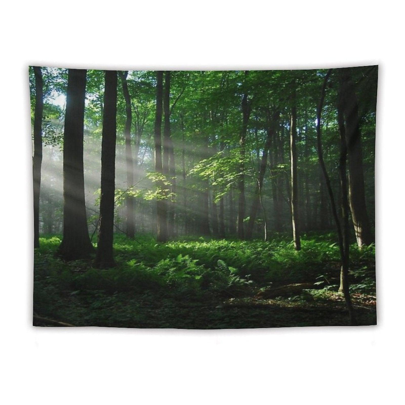 Lighted Forest Tapestry