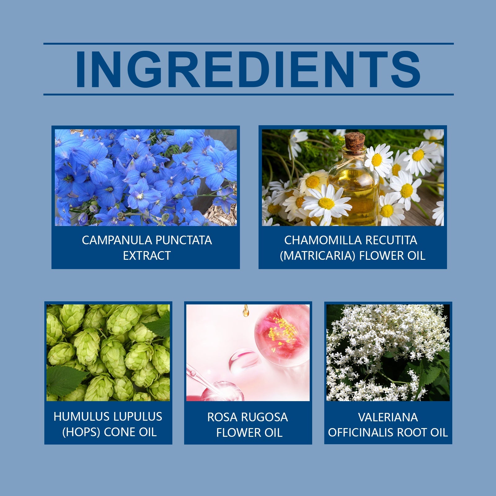 Blue Wind Chime Sleep Care Patch Night Care Sleep Fragrance Household Fragrance Essential Oil Patch