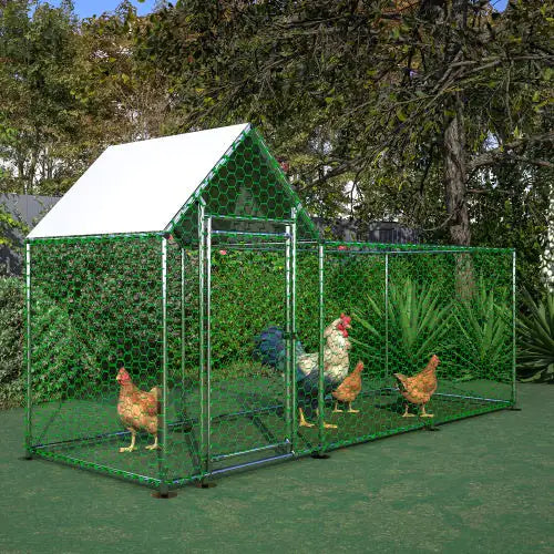 Poultry Habitat Cage With Lid For Chicken Coop Ameraeon