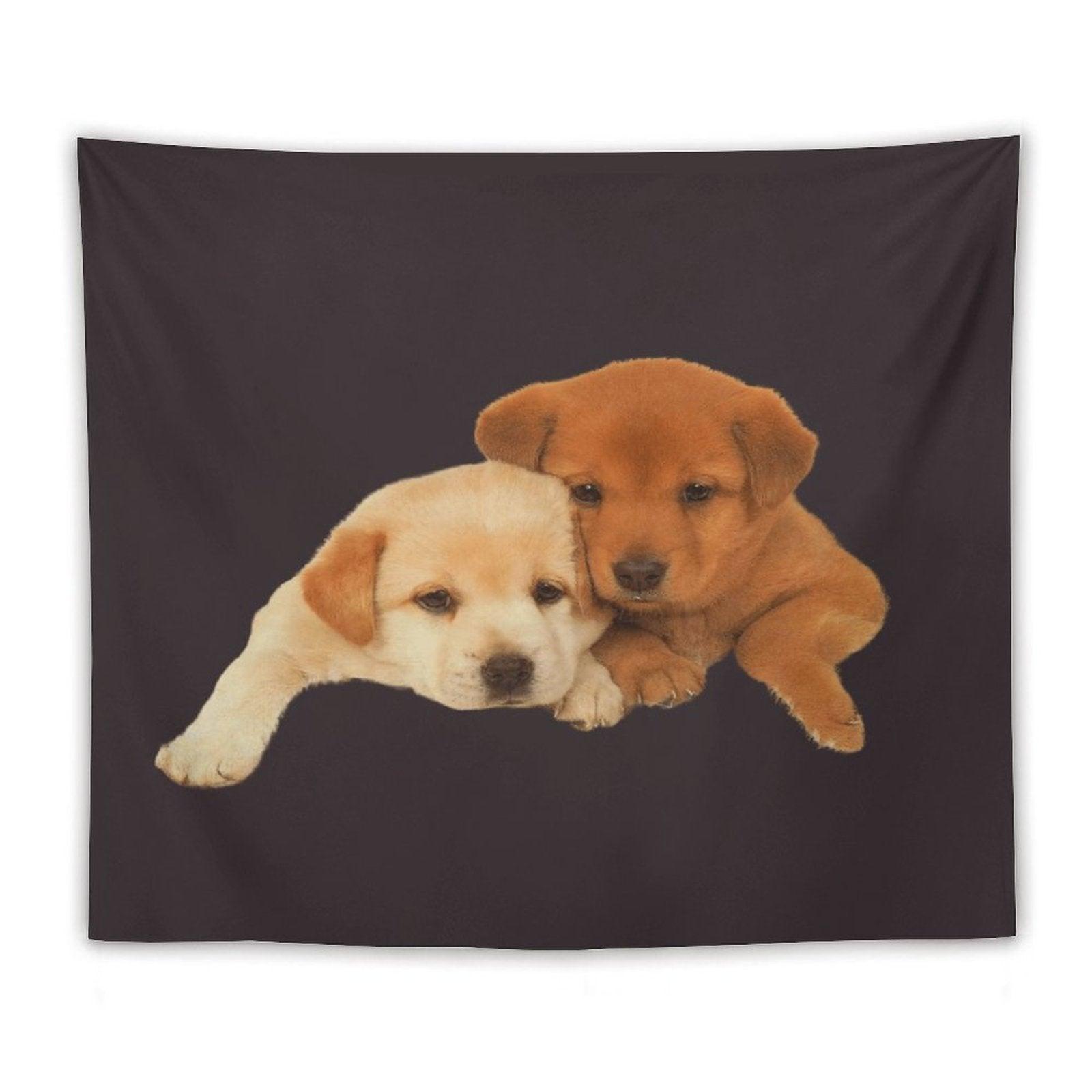 Drake - FOR ALL THE DOGS Tapestry