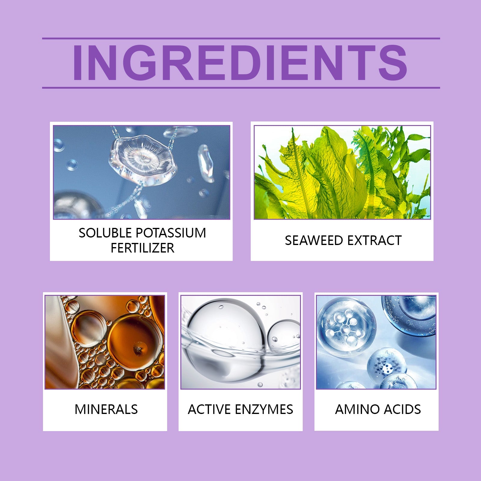 Orchid Plant Growth Agent Flower Green Plant Special Nutrient Solution For Orchid Pot Common