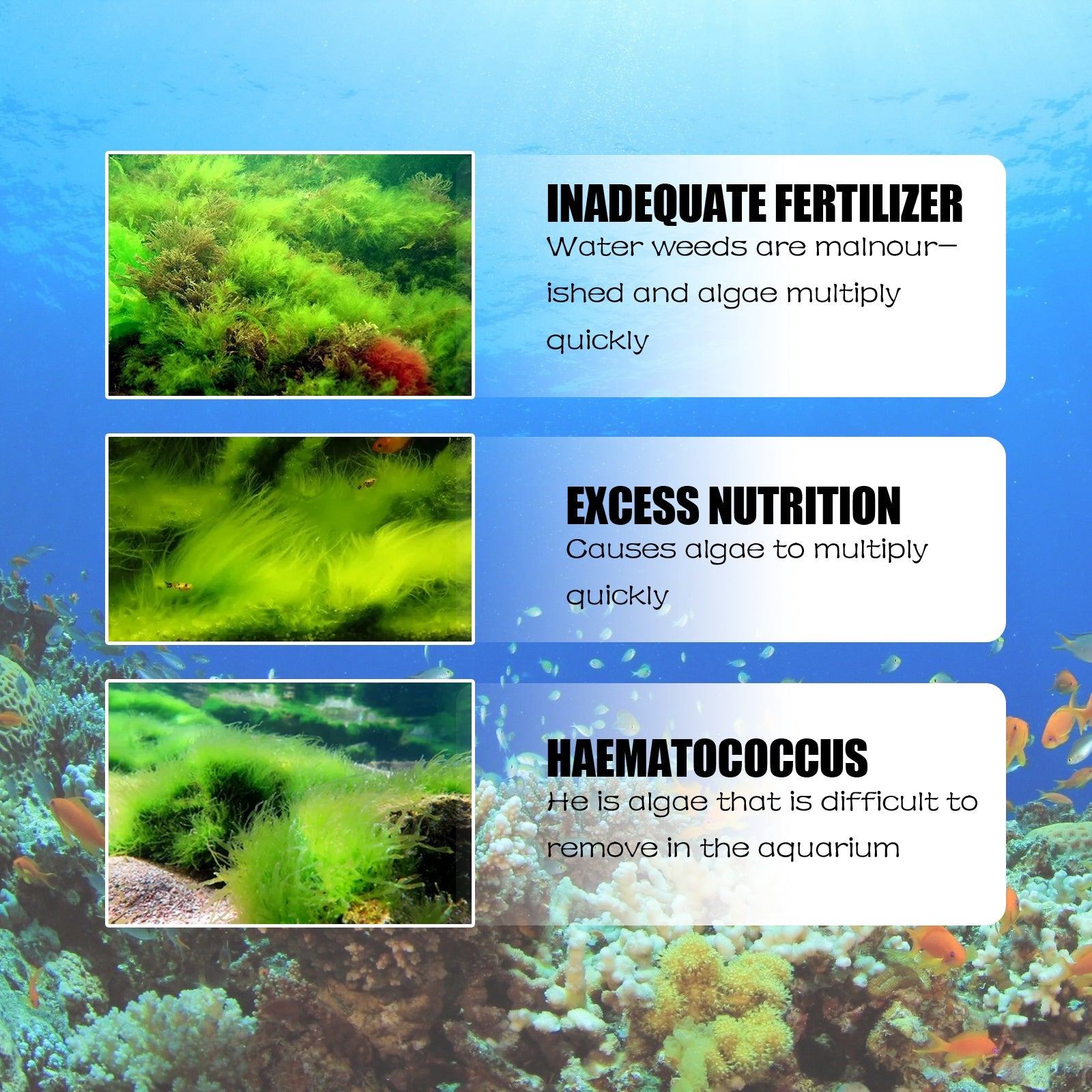 Algae Removal, Aquarium Cleaning Agent Algae Removal Moss Fish Tank Moss Removal Agent Algae Removal From Green Water