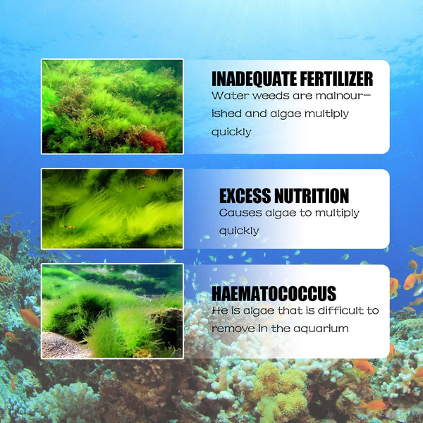 Algae Removal, Aquarium Cleaning Agent Algae Removal Moss Fish Tank Moss Removal Agent Algae Removal From Green Water