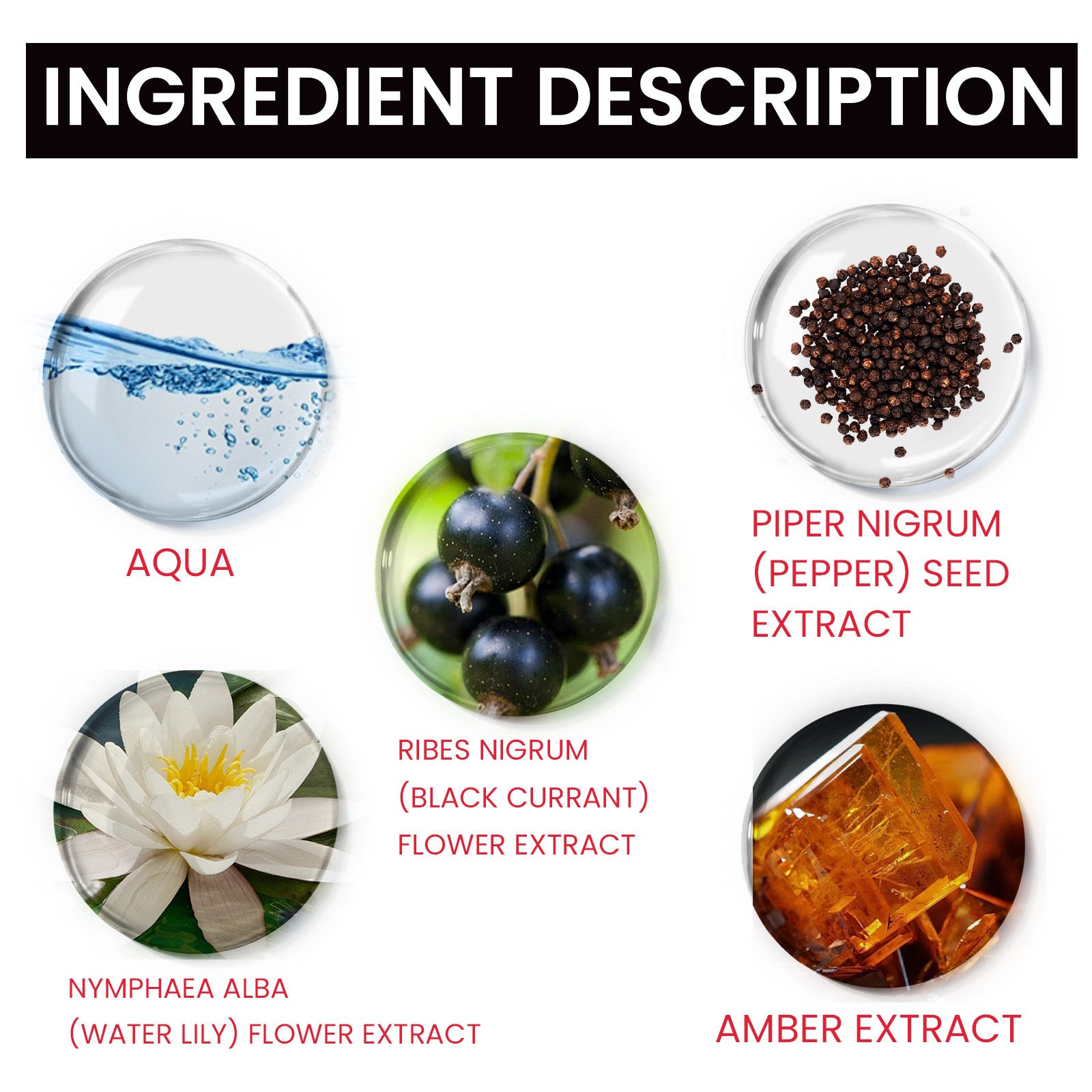 Magnet Pheromone, Lasting Fragrance Elegant Natural Fragrance Not Pungent Women's Charm Dating Perfume