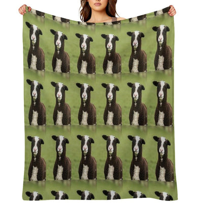 Zwartbles Lamb Anti-pilling Throw Blanket