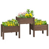 Outsunny Raised Garden Bed with 3 Planter Box