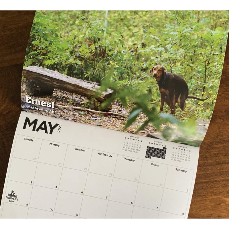 2021 Pooping Pooches Calendar White Elephant Gag Gift Calendar 2021 Calendar Poster Retro Decor Painting