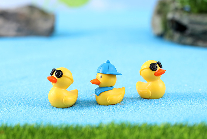 Bryophyte Miniature Landscapes, Succulent Plant Decorations, Doll Figurines, Travel Duck Souvenirs, DIY Material Kits