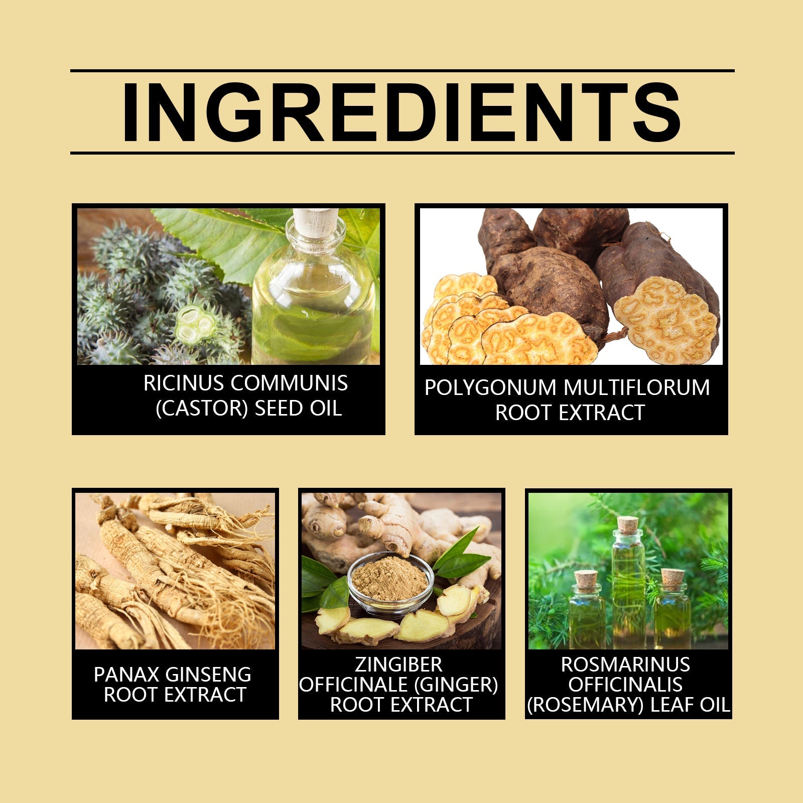 Scalp Nourishing Spray Strengthens Hair And Moisturizes Hair And Scalp Care Plant Extract