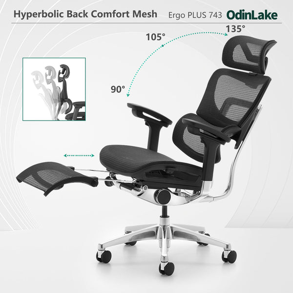 OdinLake O1 (Ergo PLUS 743) | Flex Mesh Ergonomic Chair