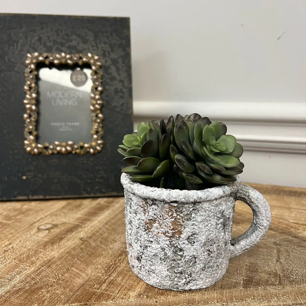 Cement Rustic Mug Planter