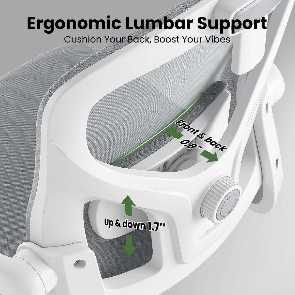 Ergonomic Office Chair for Home Office Study Room