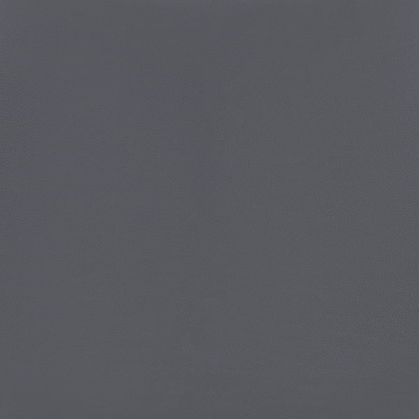 Magnus Barstool (Set of 2) Dark Gray & Black