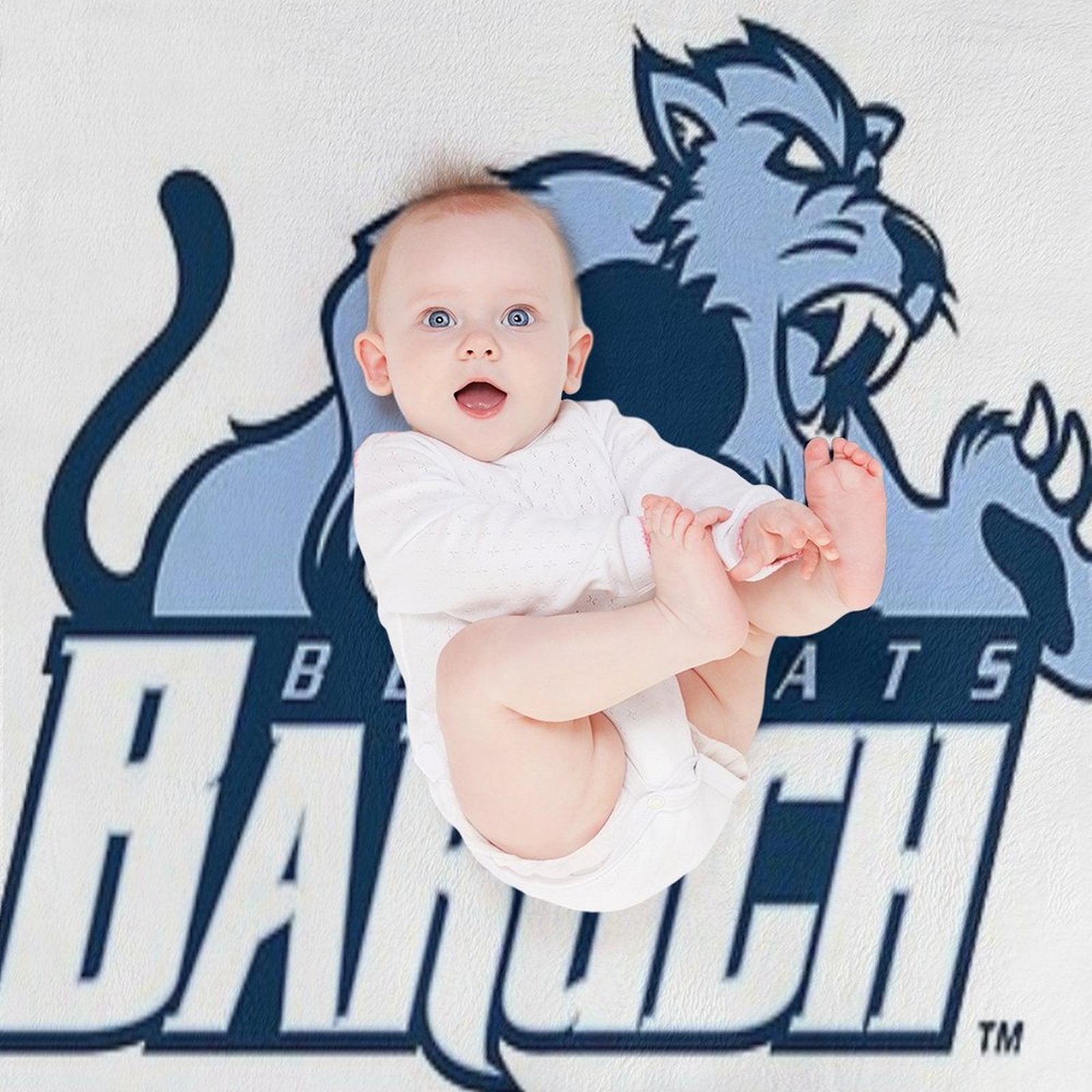 Baruch Bearcats Premium Throw Blanket