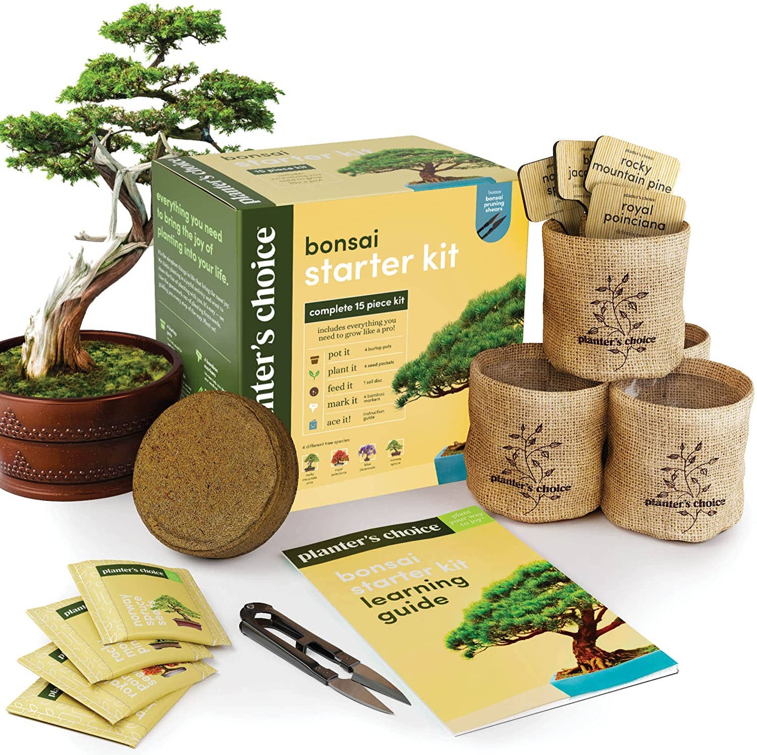 Bonsai Starter Kit - Indoor Bonsai Growing Kit With Clipper Tool & Seeds