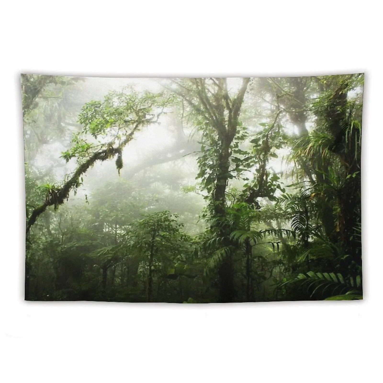 Cloud Forest Tapestry