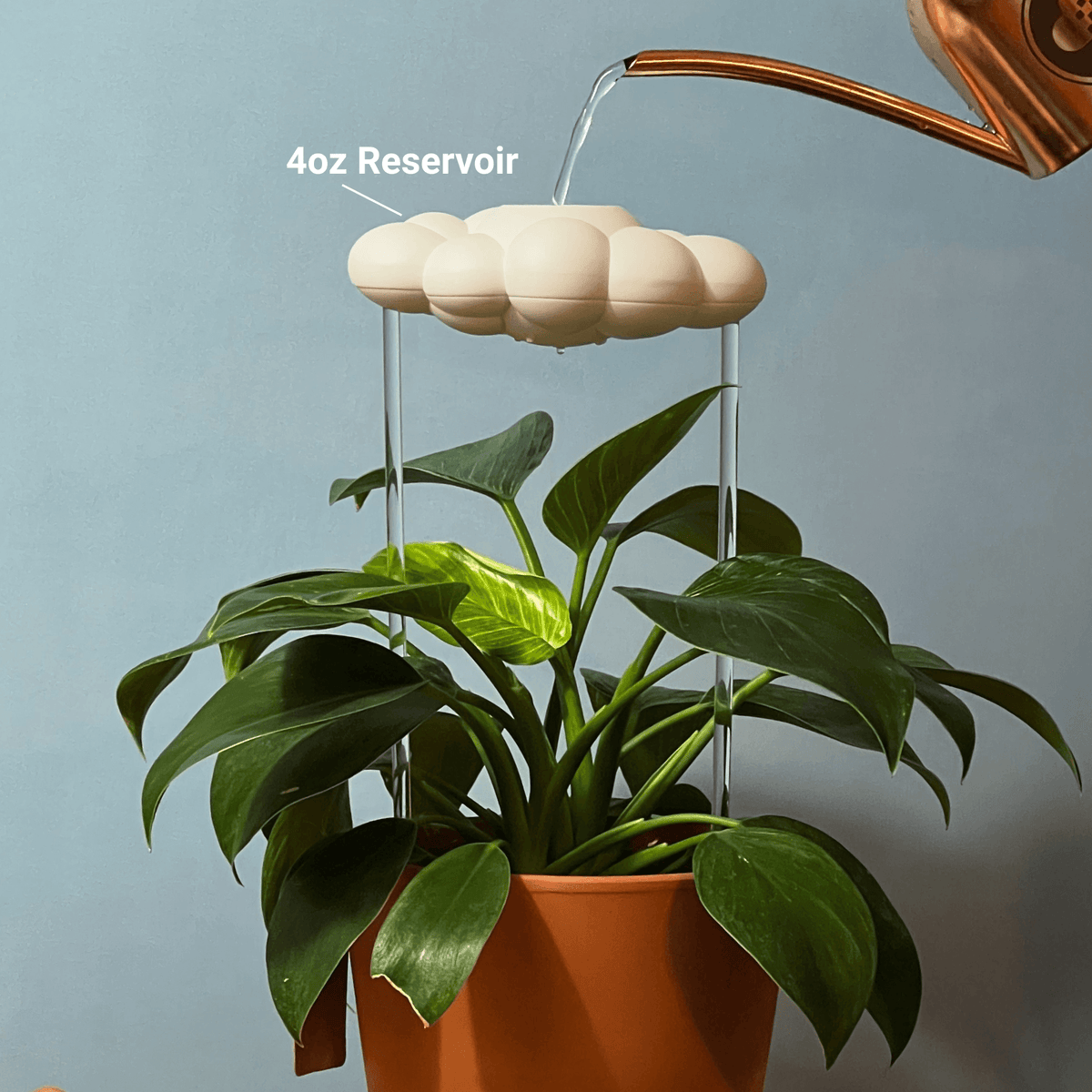 Original Dripping Rain Cloud with Orange Butterfly Charm