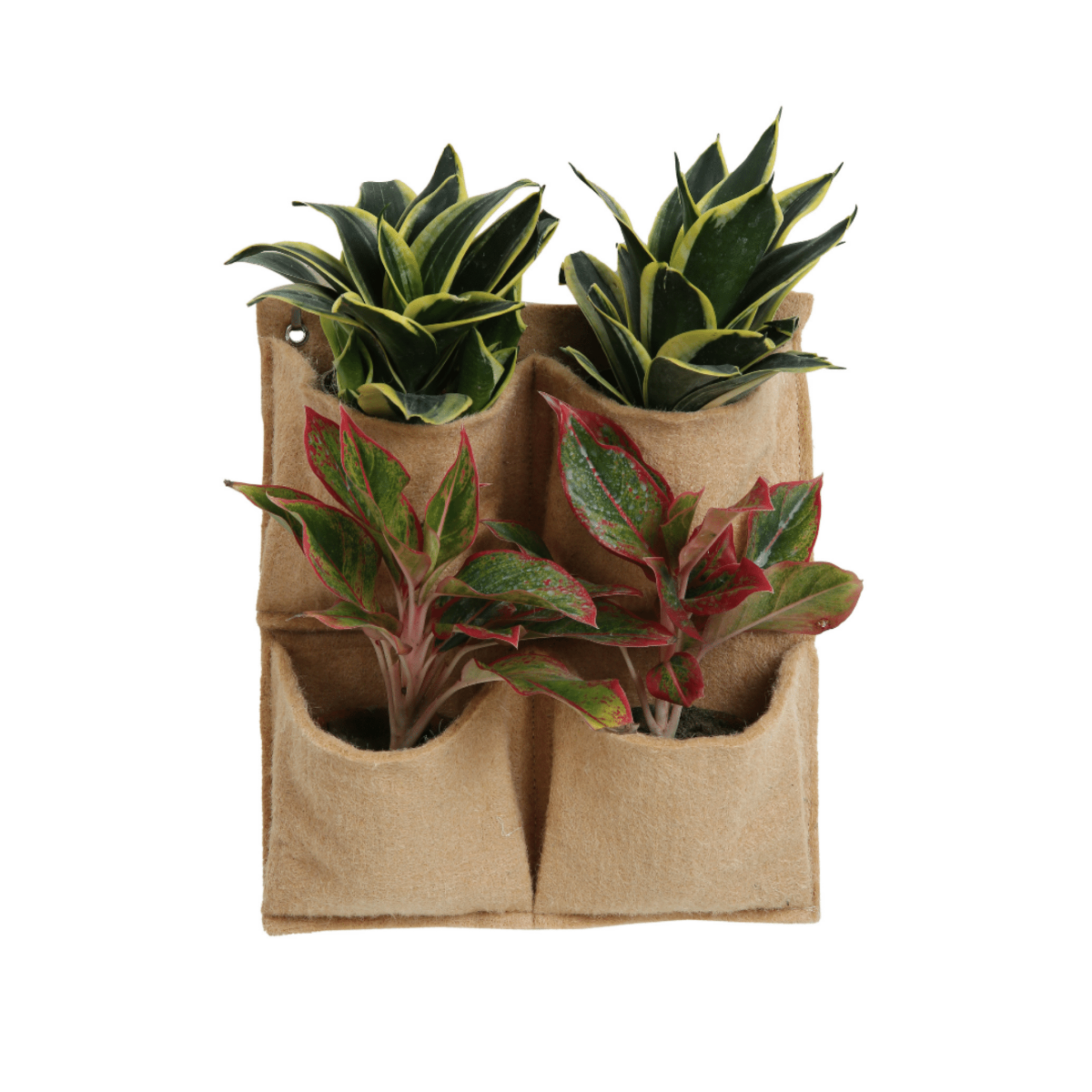 Jute Gardens 4-Pocket Vertical Living Wall Planter – Indoor/Outdoor Eco-Friendly Hanging Garden for Herbs, Flowers & Vegetables