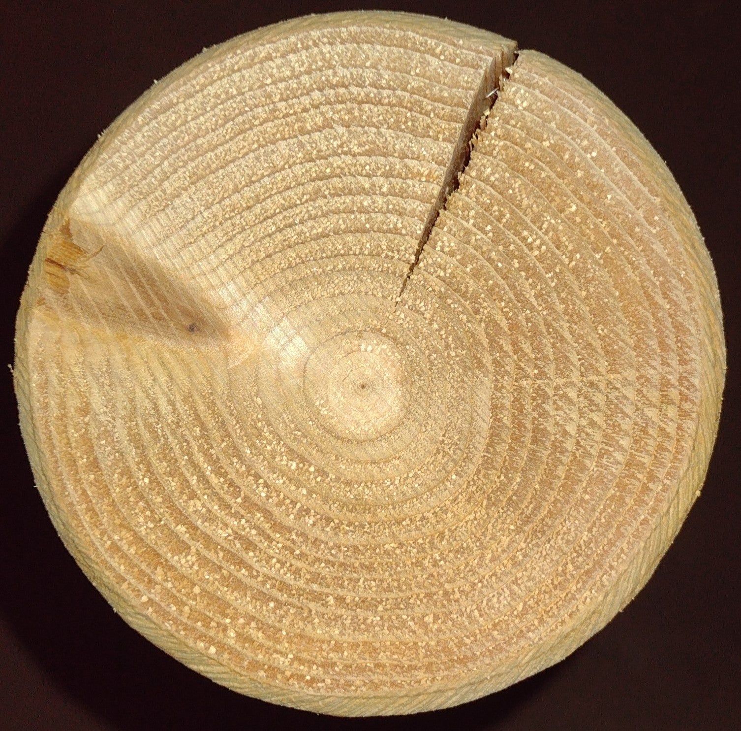 Rustic Log Swing Set