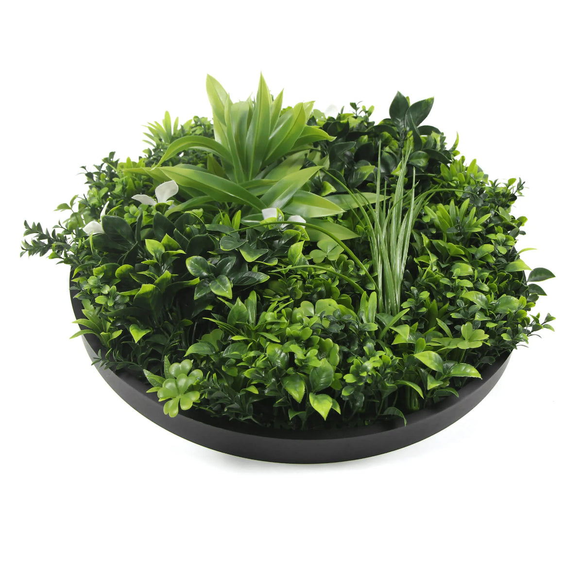 Artificial Green Wall Disc 20in – Black Frame – UV Resistant – Commercial Grade