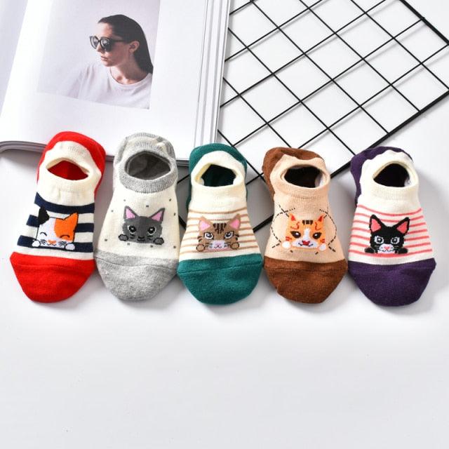 5 Pairs Cute Animal Spring Women Cotton Boat Socks Set Korean Style Funny Cat Dog Panda Low Cut Ankle Short Socks