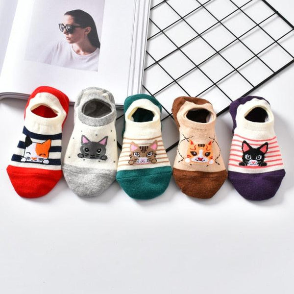5 Pairs Cute Animal Spring Women Cotton Boat Socks Set Korean Style Funny Cat Dog Panda Low Cut Ankle Short Socks
