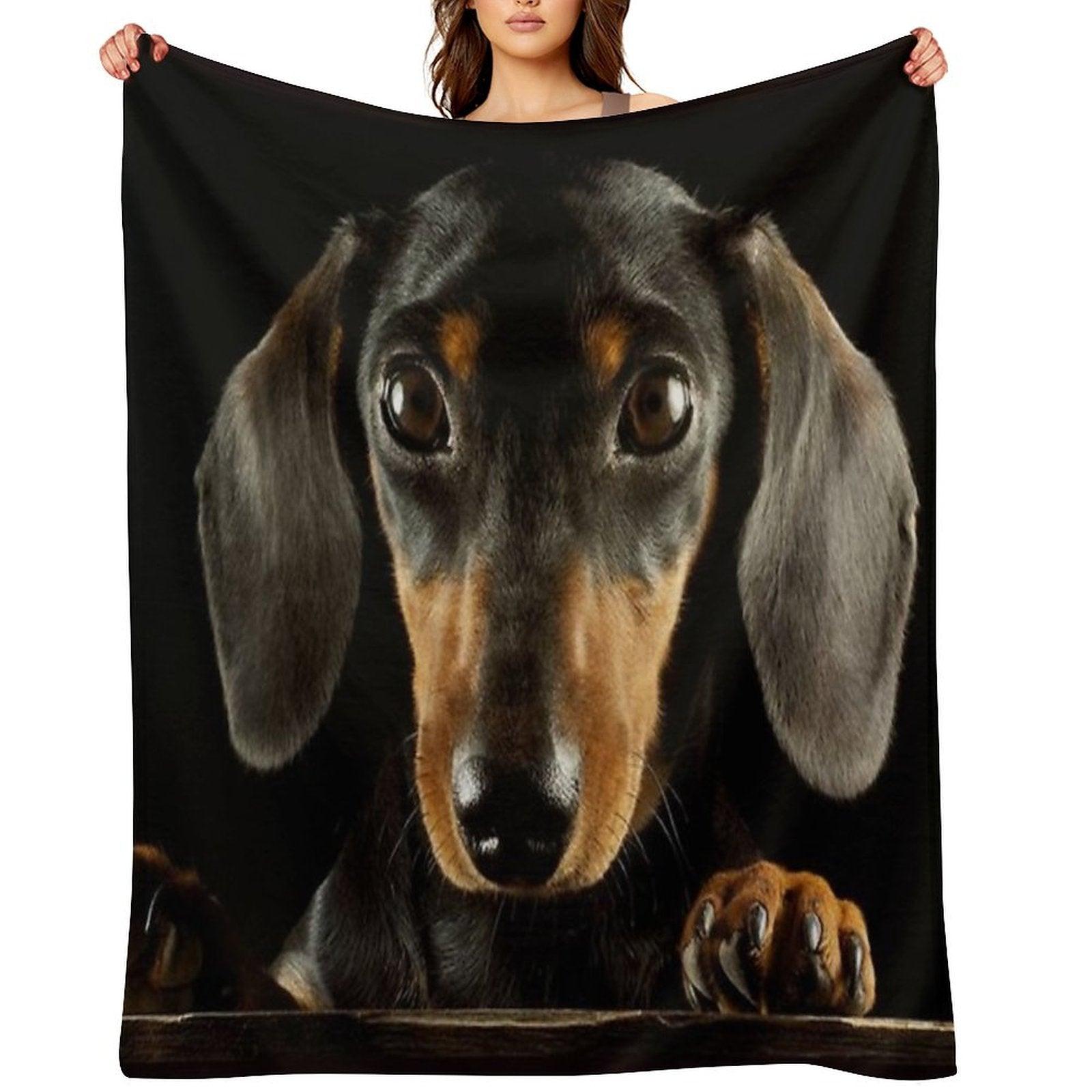 Dachshund Dog Photo Portrait Throw Blanket