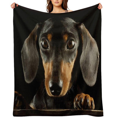 Dachshund Dog Photo Portrait Throw Blanket