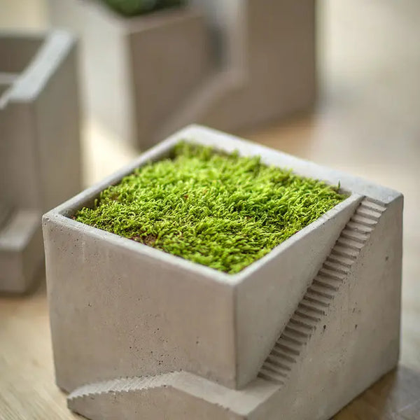 Cement Architectural Cube