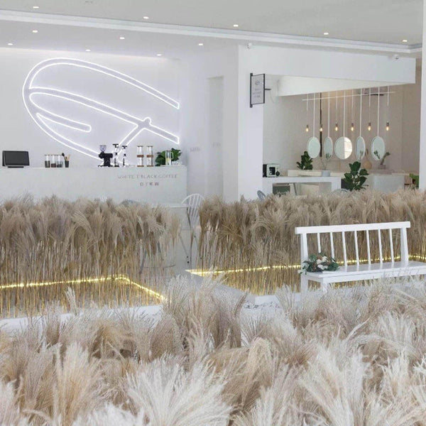 50Pcs/Bunch 50cm Natural Phragmites Reed Flowers Bulrush Bouquet Big Dried Pampas Grass Wedding Decoration Home Fall Decor