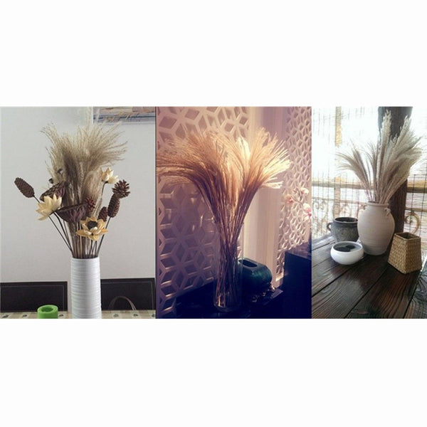50Pcs/Bunch 50cm Natural Phragmites Reed Flowers Bulrush Bouquet Big Dried Pampas Grass Wedding Decoration Home Fall Decor
