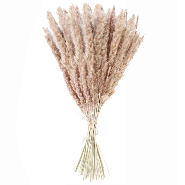 50Pcs/Bunch 50cm Natural Phragmites Reed Flowers Bulrush Bouquet Big Dried Pampas Grass Wedding Decoration Home Fall Decor