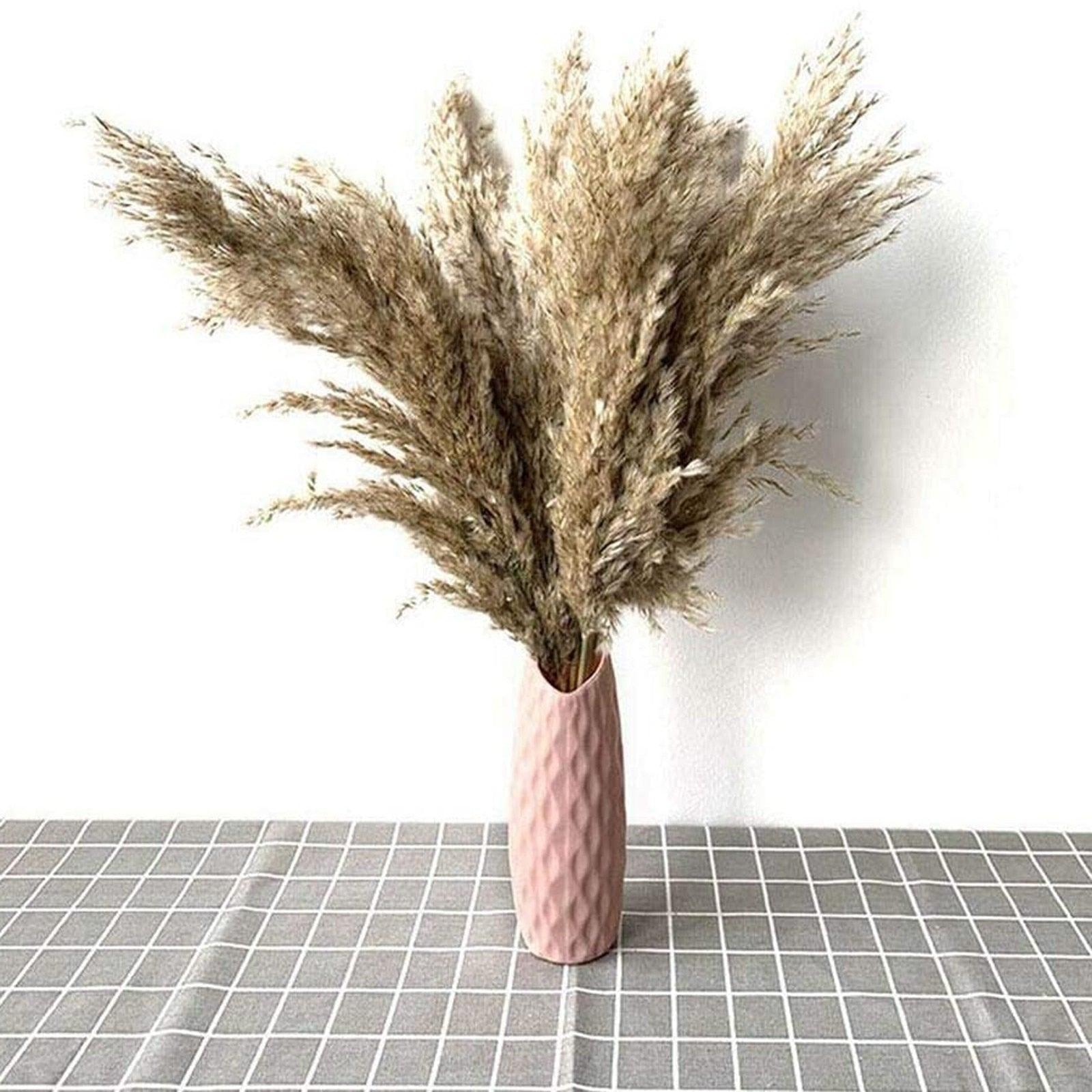 50Pcs/Bunch 50cm Natural Phragmites Reed Flowers Bulrush Bouquet Big Dried Pampas Grass Wedding Decoration Home Fall Decor