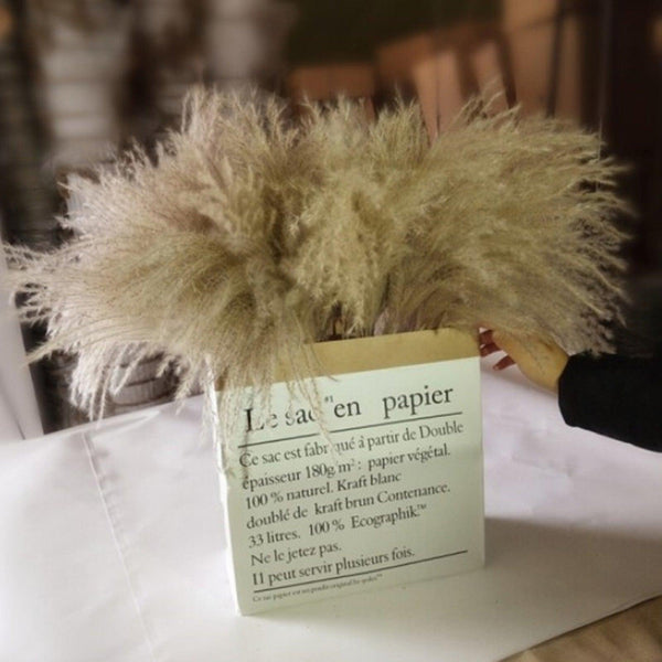 50Pcs/Bunch 50cm Natural Phragmites Reed Flowers Bulrush Bouquet Big Dried Pampas Grass Wedding Decoration Home Fall Decor