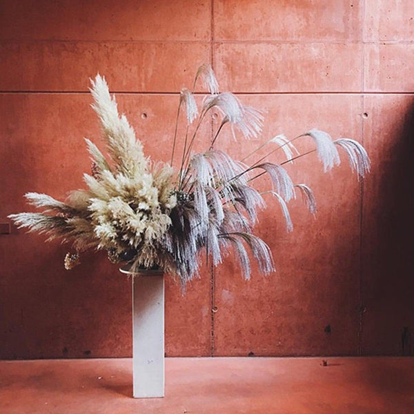 50Pcs/Bunch 50cm Natural Phragmites Reed Flowers Bulrush Bouquet Big Dried Pampas Grass Wedding Decoration Home Fall Decor