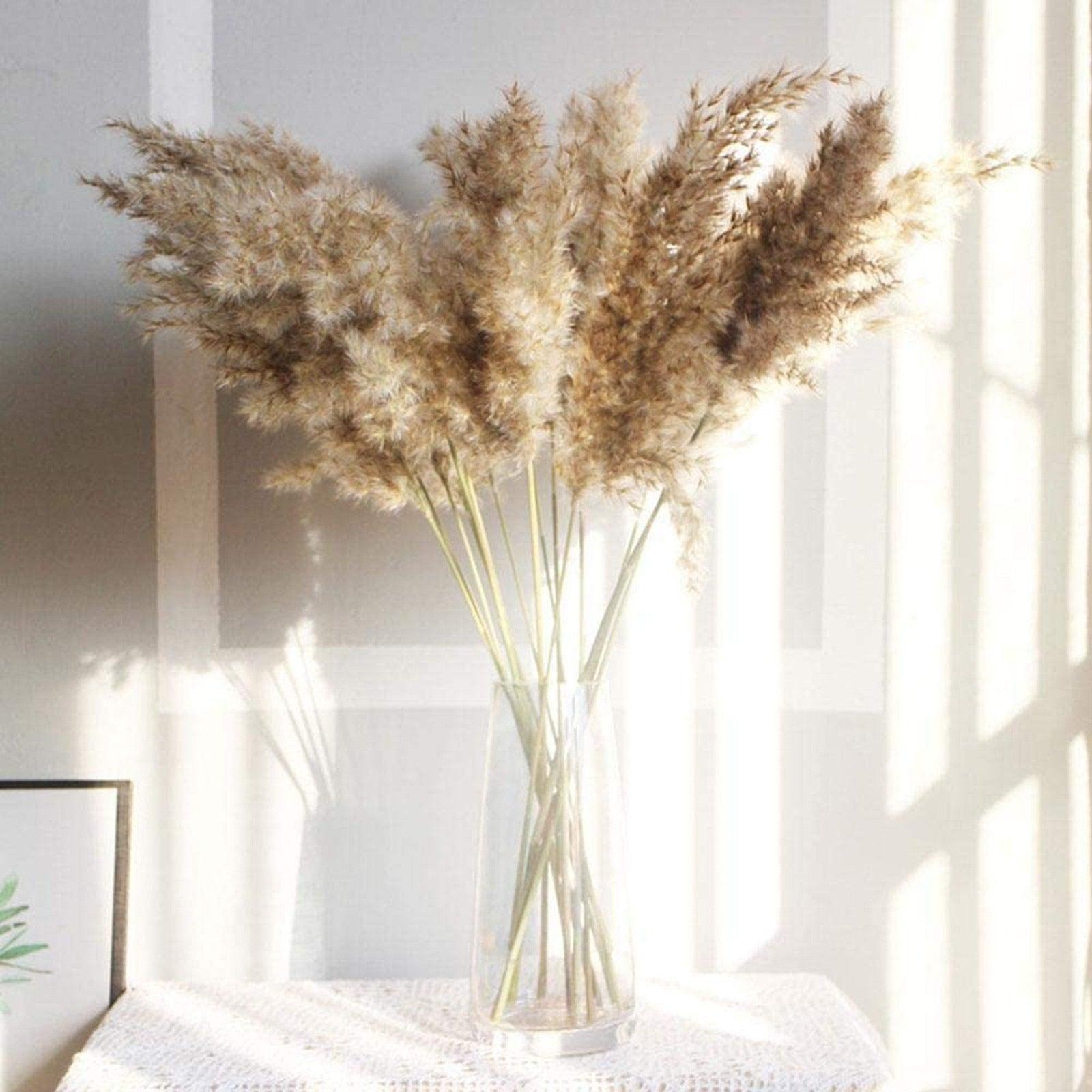 50Pcs/Bunch 50cm Natural Phragmites Reed Flowers Bulrush Bouquet Big Dried Pampas Grass Wedding Decoration Home Fall Decor