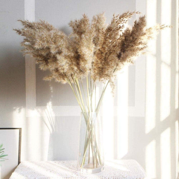 50Pcs/Bunch 50cm Natural Phragmites Reed Flowers Bulrush Bouquet Big Dried Pampas Grass Wedding Decoration Home Fall Decor