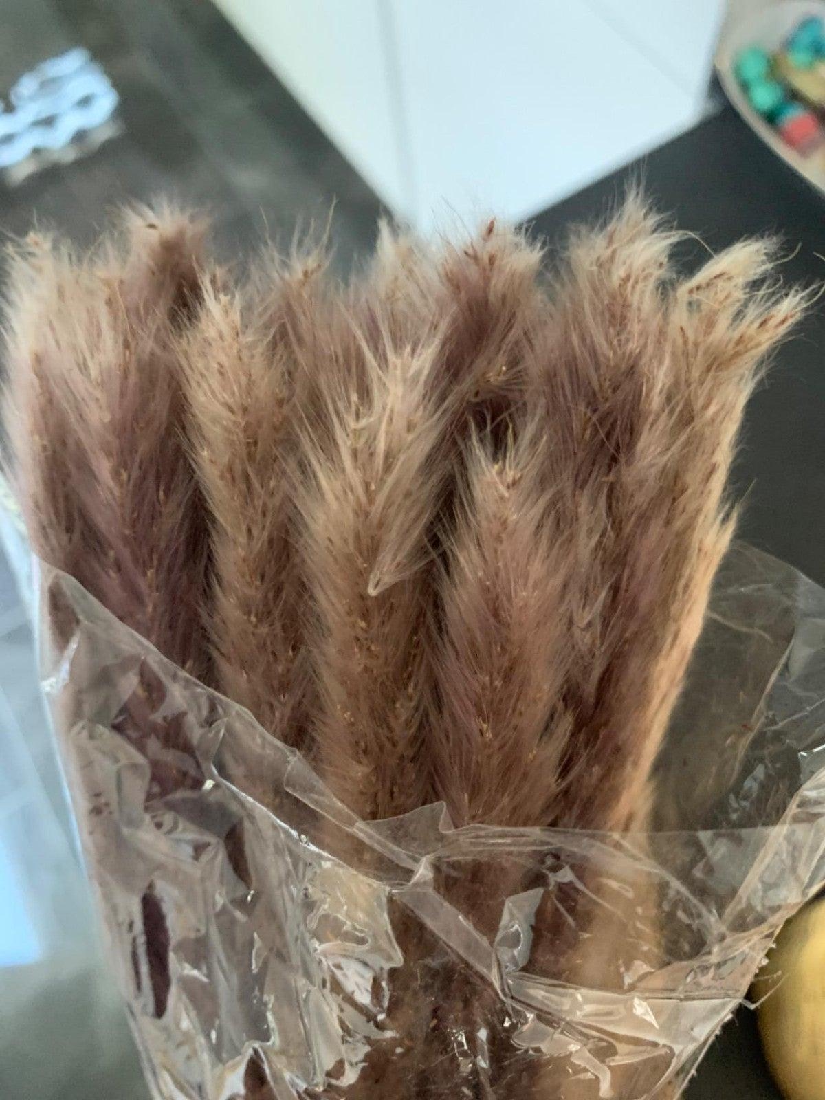 50Pcs/Bunch 50cm Natural Phragmites Reed Flowers Bulrush Bouquet Big Dried Pampas Grass Wedding Decoration Home Fall Decor