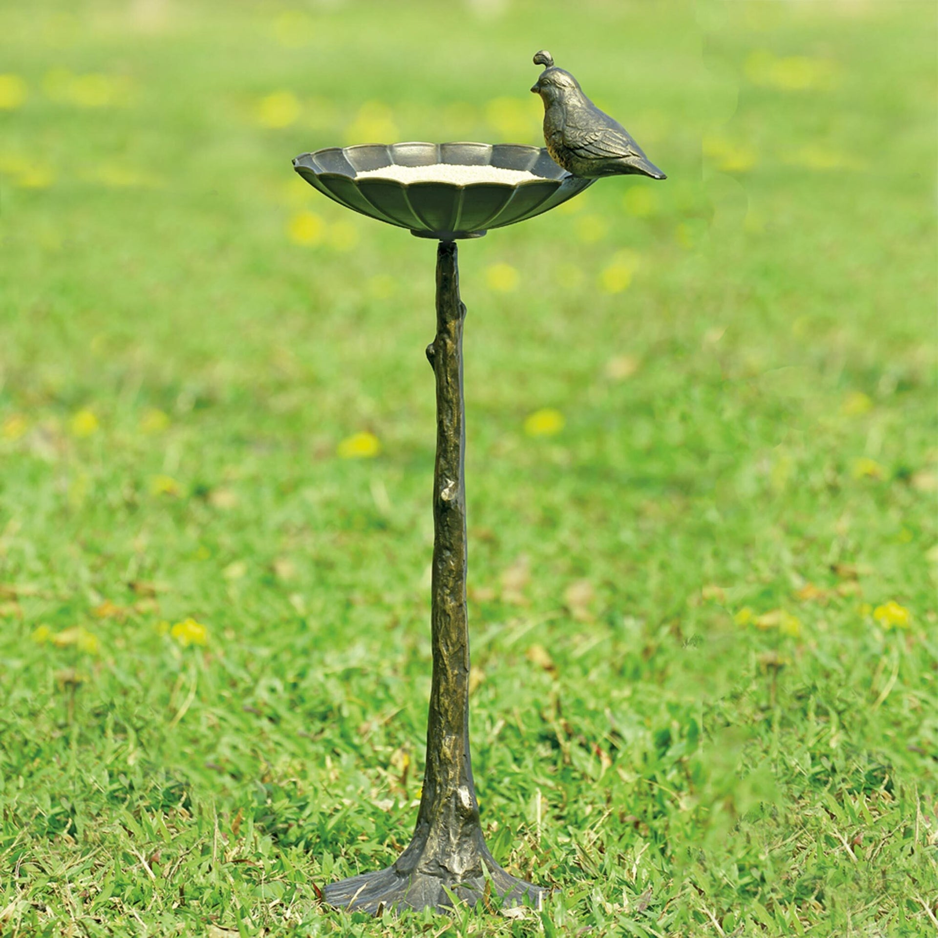 Quail Birdbath/Birdfeeder