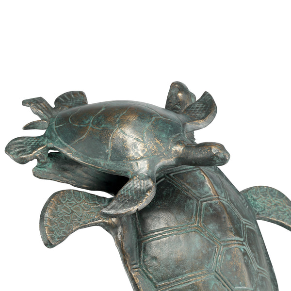 First Swim Parent and Child Sea Turtles