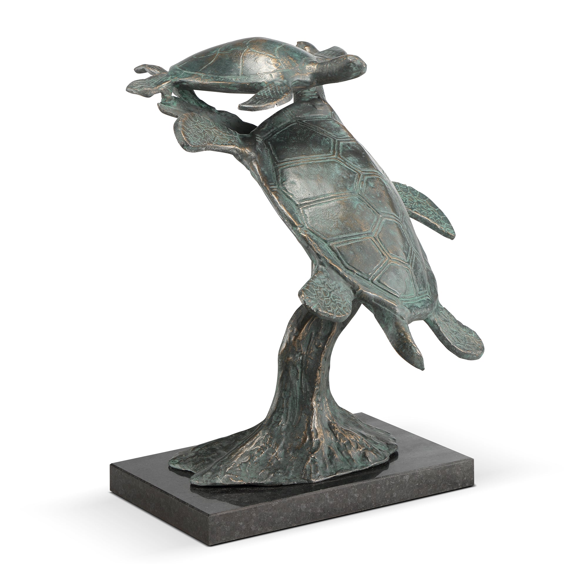 First Swim Parent and Child Sea Turtles