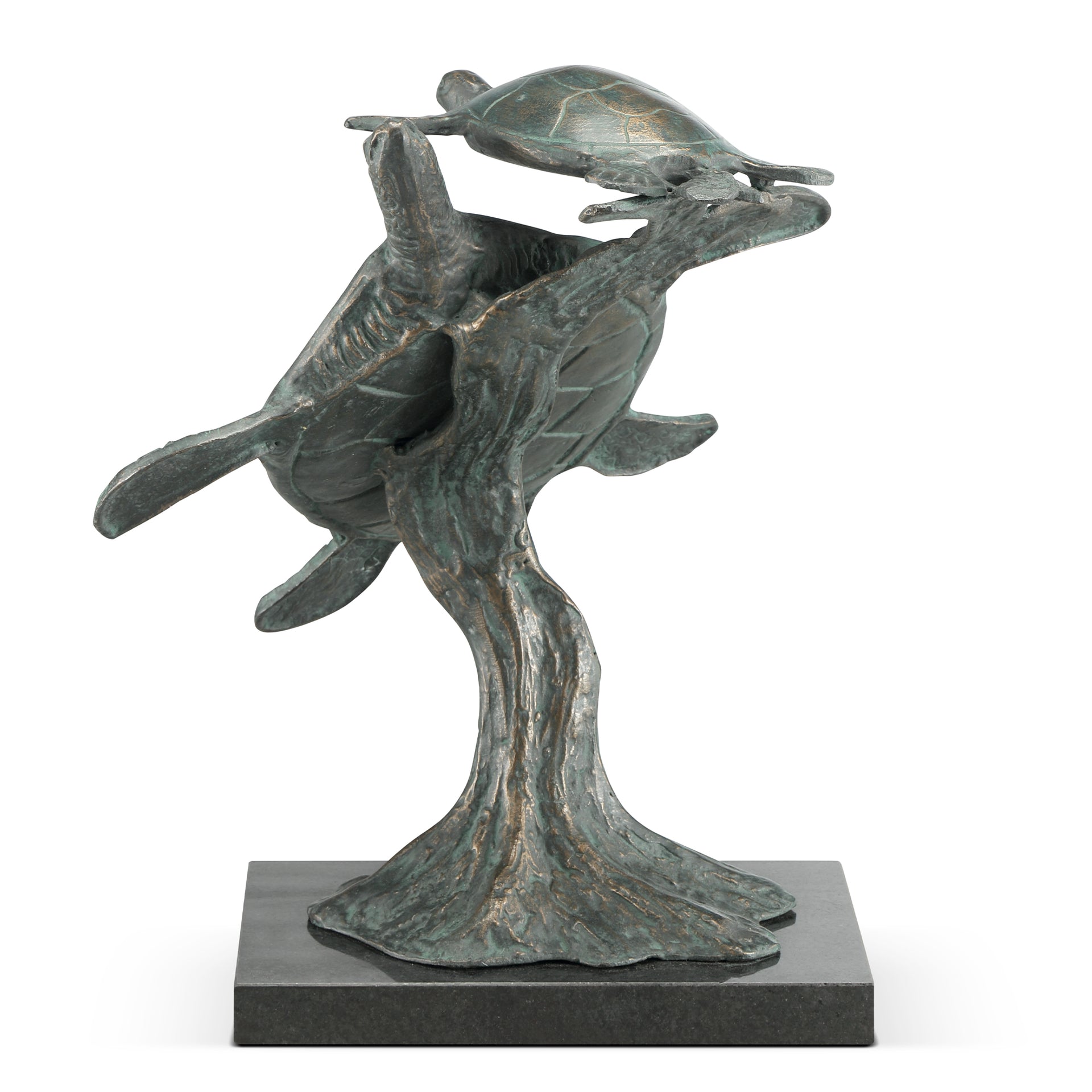 First Swim Parent and Child Sea Turtles