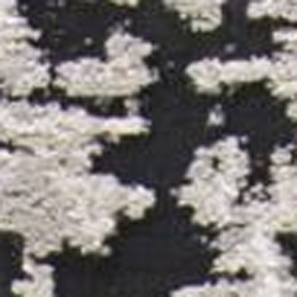 2' X 3' Black White And Gray Stain Resistant Area Rug