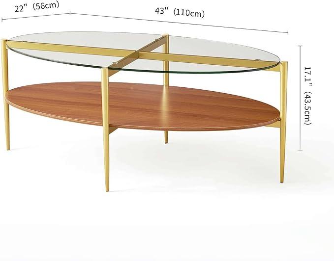 Oval Glass Coffee Table, Mid-Century Modern Design, L43 x W22 x H17 inch, 2-Tier Structure, Olive Shaped Clear Glass Top and Walnut Finish Wood Shelf, Tapered Legs with Gold Finish Frame