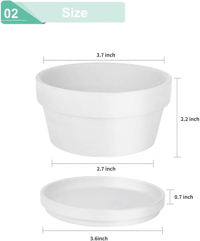 vensovo 3.7 Inch White Terracotta Shallow Succulent Pots - 6 Pack Terra Cotta Clay Pot with Saucer, Cacuts Indoor and Outdoor Planters with Drainage Hole