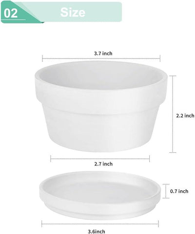 vensovo 3.7 Inch White Terracotta Shallow Succulent Pots - 6 Pack Terra Cotta Clay Pot with Saucer, Cacuts Indoor and Outdoor Planters with Drainage Hole