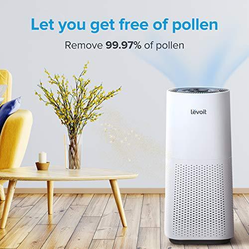 LEVOIT Air Purifier for Home Large Room with H13 True HEPA Filter - Gifts for You 'n Me