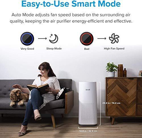 LEVOIT Air Purifier for Home Large Room with H13 True HEPA Filter - Gifts for You 'n Me