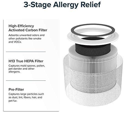 LEVOIT Bedroom Air Purifier with H13 True HEPA Filter - Gifts for You 'n Me