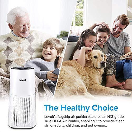 LEVOIT Air Purifier for Home Large Room with H13 True HEPA Filter - Gifts for You 'n Me